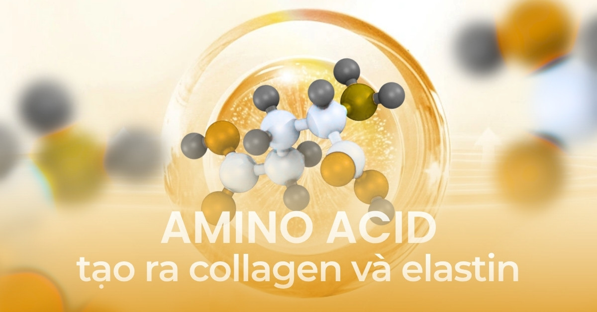 Amino acid
