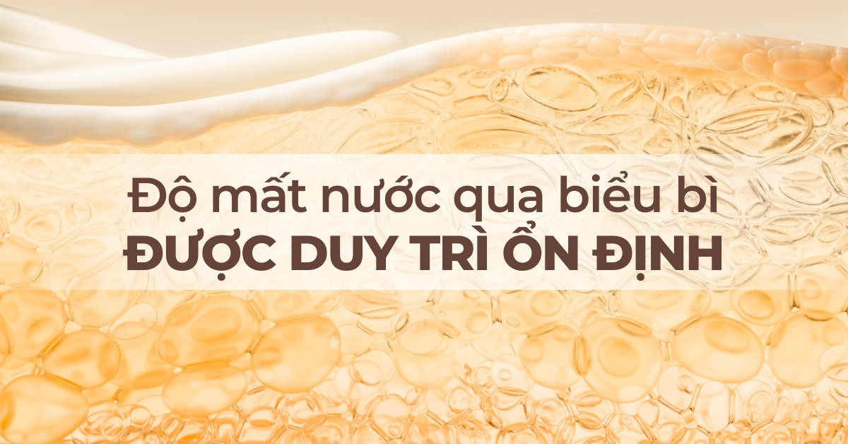 Độ mất nước qua biểu bì được duy trì ổn định