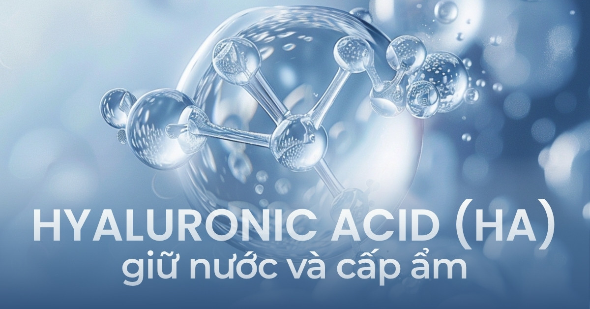 Hyaluronic acid (HA)