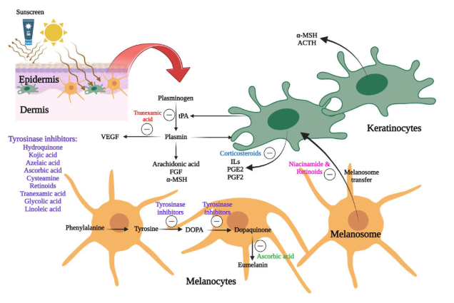 Screenshot 2025-11-11 090904