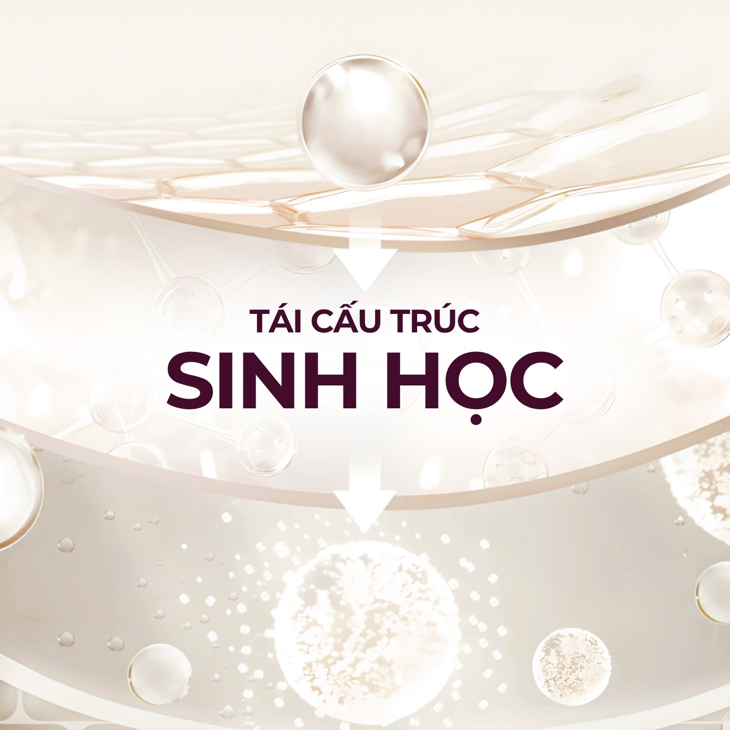 Tái cấu trúc sinh học