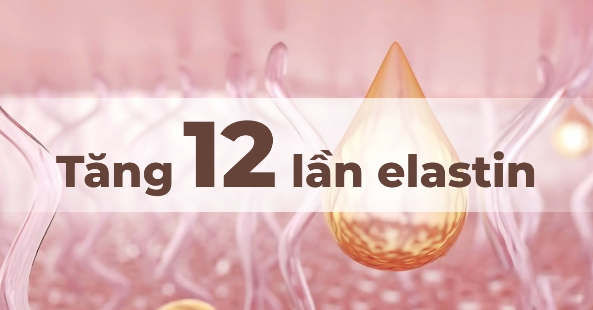 Tăng 12 lần elastin