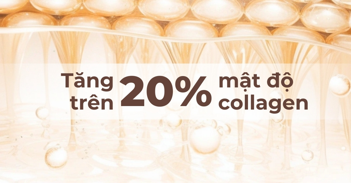 Tăng trên 20% mật độ collagen