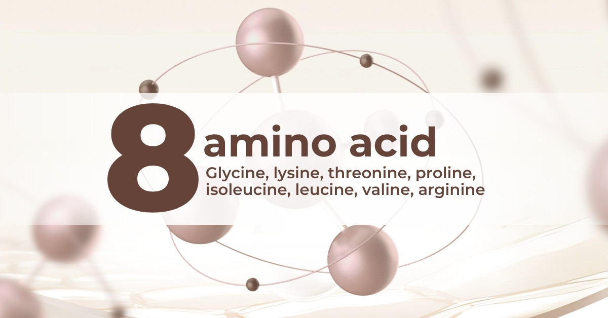 8 amino acid