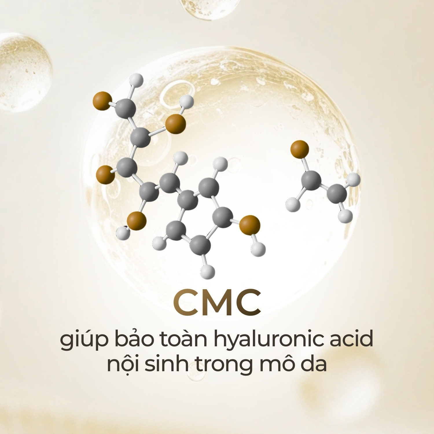 Bảo vệ cấu trúc da