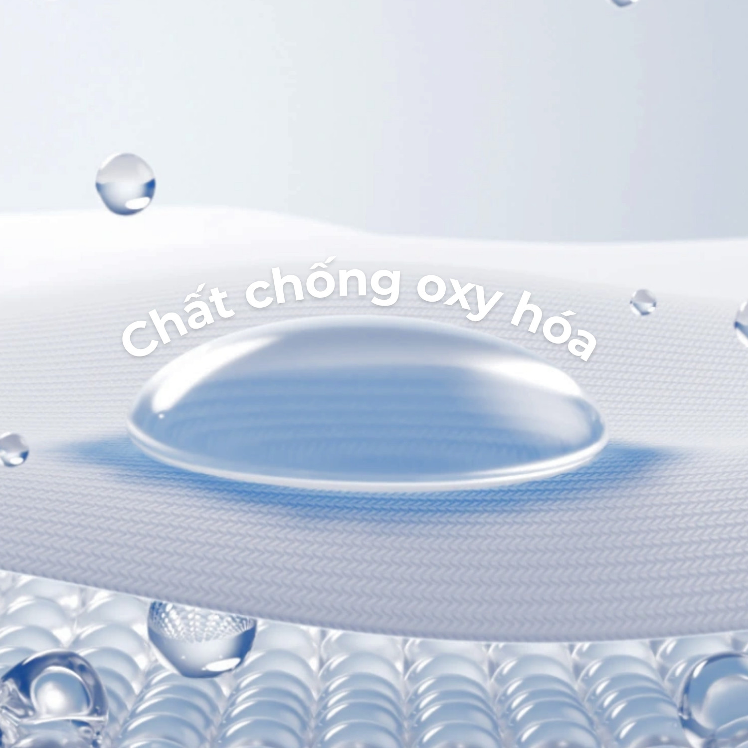 Chất chống oxy hóa