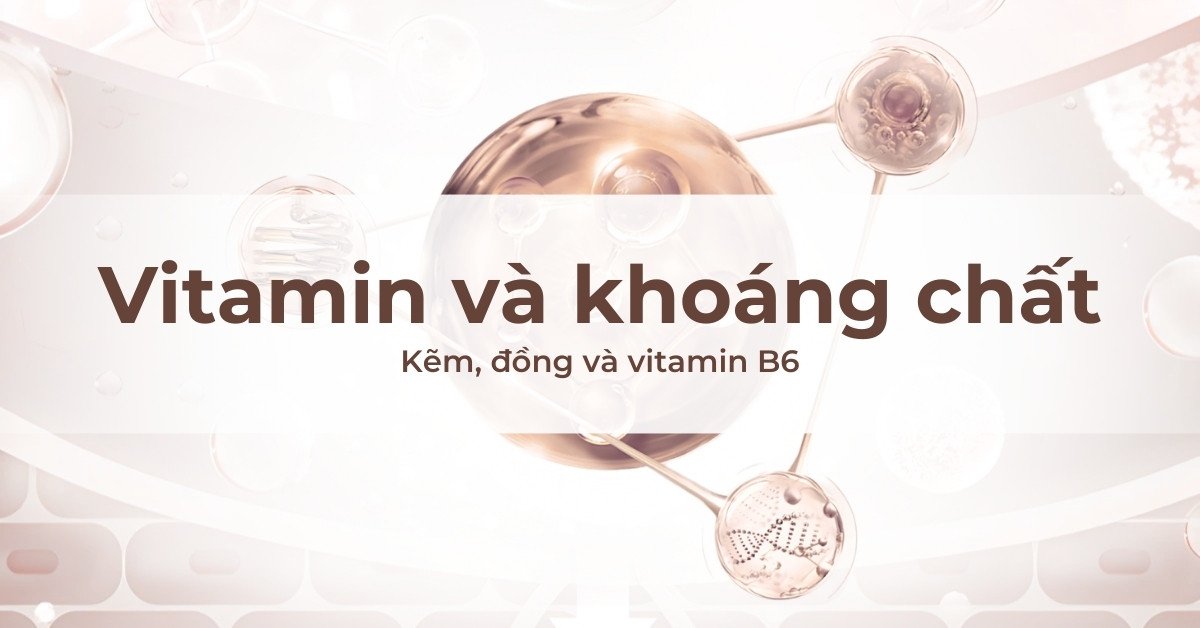 Vitamin và khoáng chất