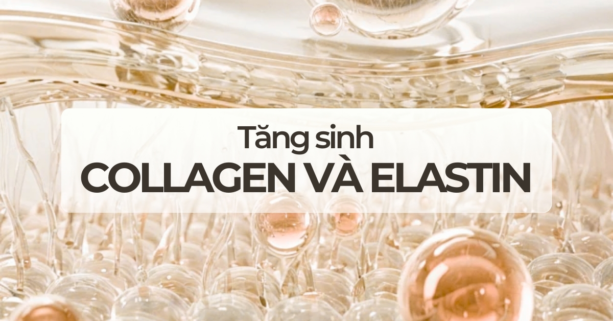 Tăng sinh collagen và elastin