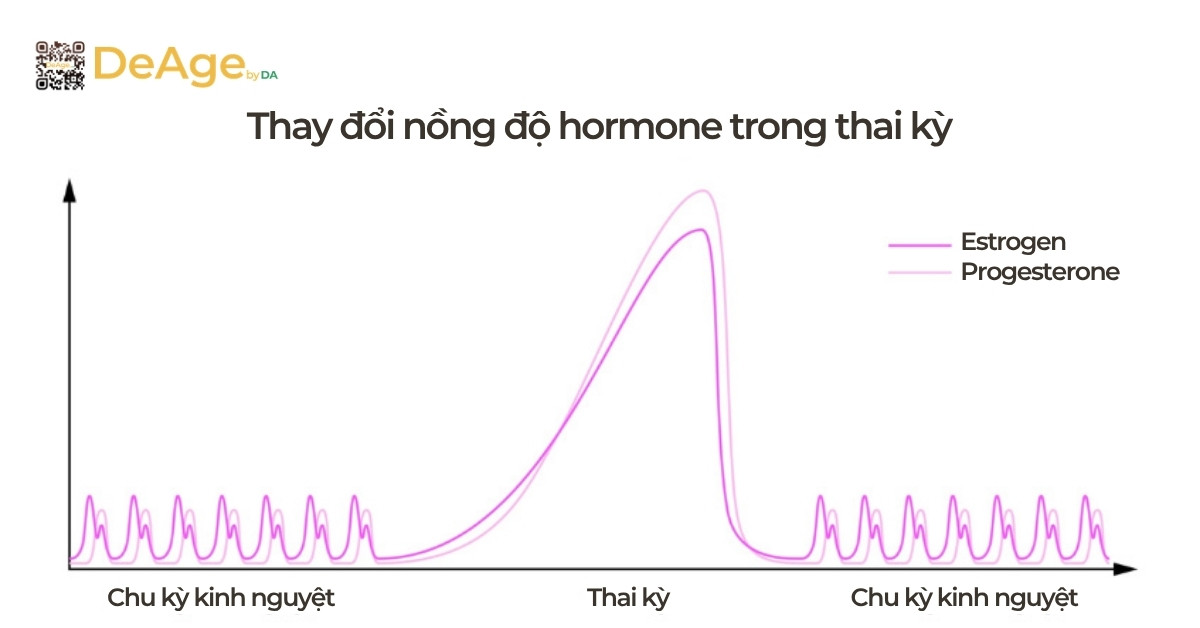 Nám da thai kỳ: làm sao để ngăn ngừa và điều trị an toàn cho bà bầu 3 minh họa hormone thai đổi trong thai kỳ