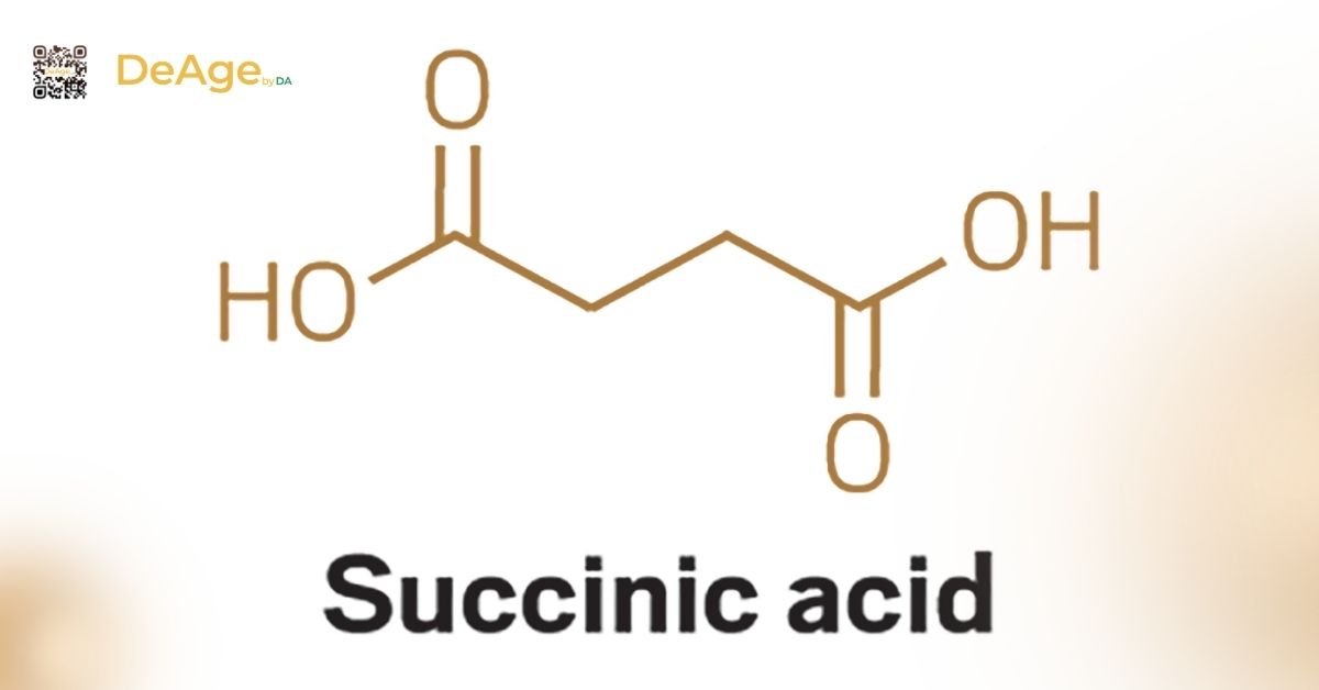 Succinic acid là gì? Lợi ích và ứng dụng trong trẻ hóa da 1 cấu trúc hh succinic acid