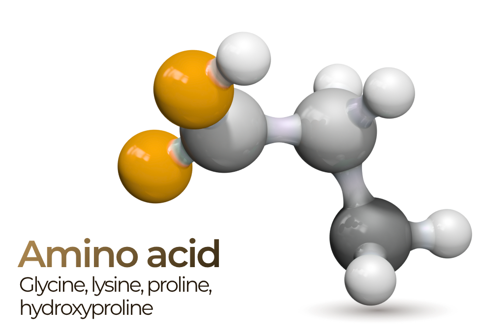 Amino acid