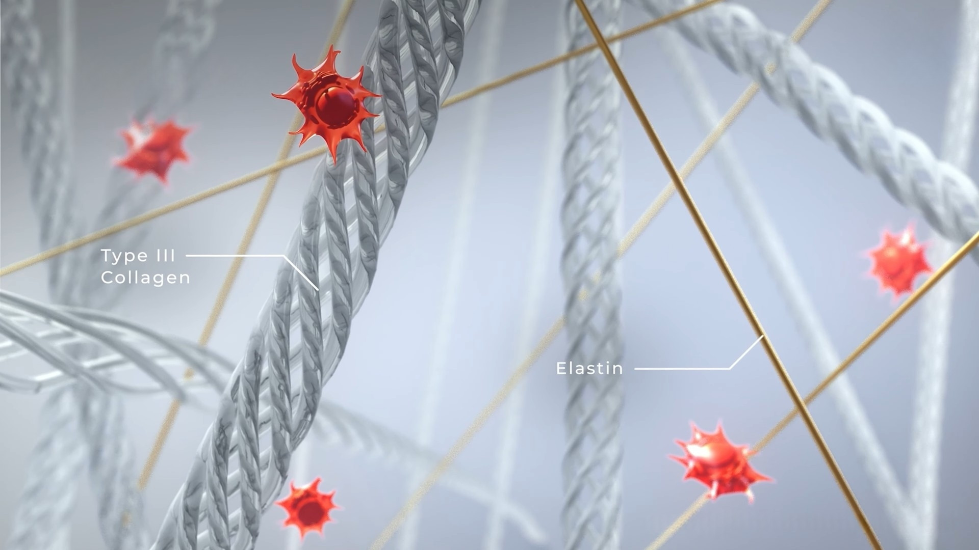 Kích thích tăng sinh collagen và elastin bền vững