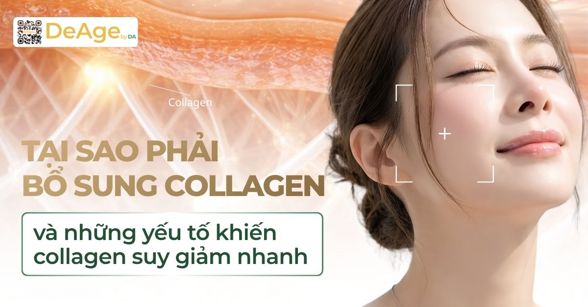 Tại sao phải bổ sung collagen và những yếu tố khiến collagen suy giảm nhanh (2)