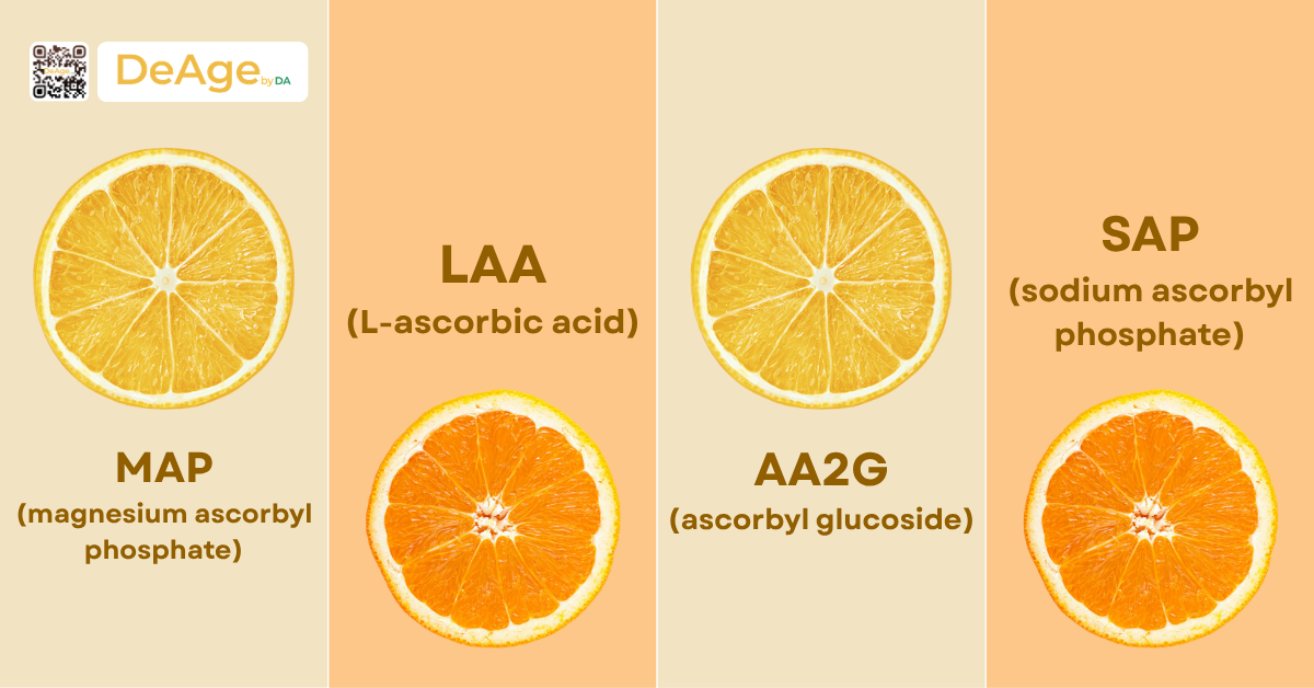 các loại vitamin C