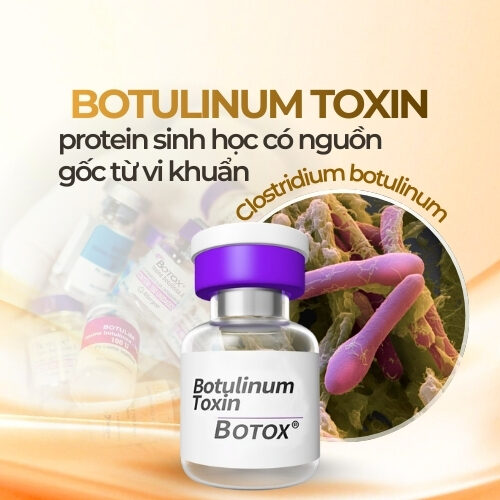 Cơ chế hoạt động của Botulinum toxin