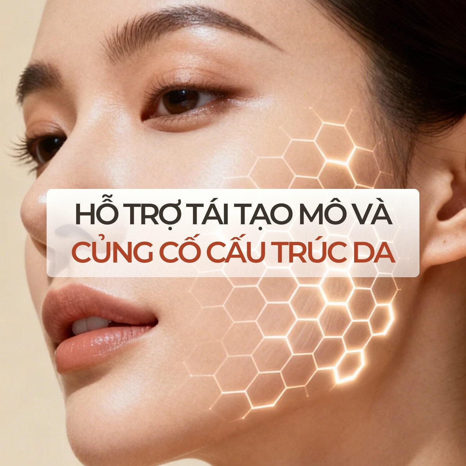 Hỗ trợ tái tạo mô và củng cố cấu trúc da