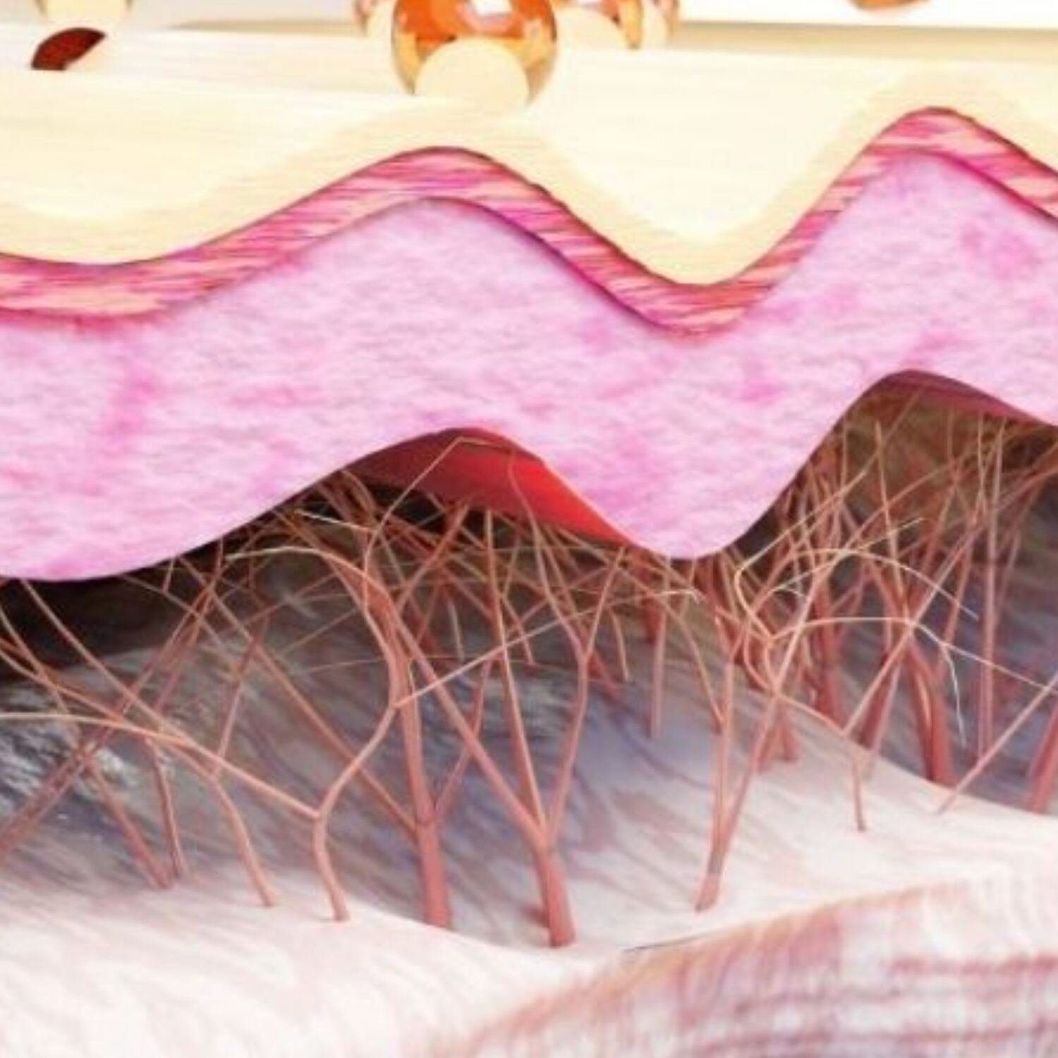 Sự thay đổi tại lớp da